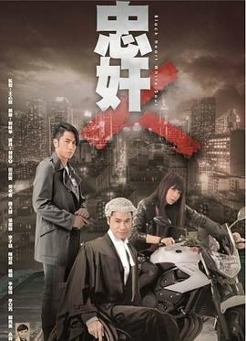 忠奸人封面图