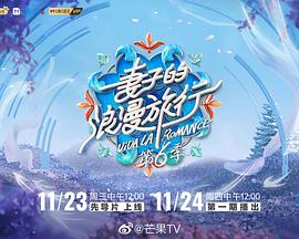 妻子的浪漫旅行第六季加更封面图