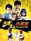 功夫小英雄封面图