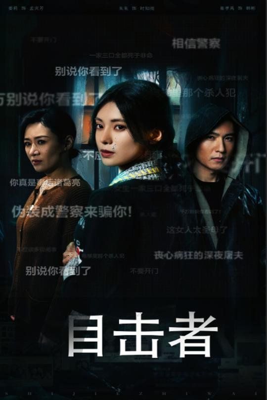 目击者（深夜伪装）海报图