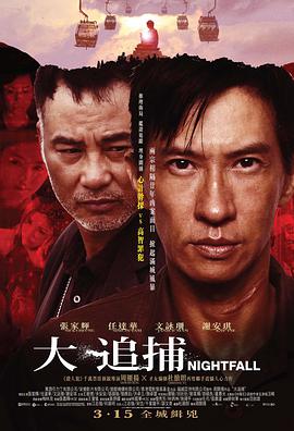 大追捕粤语封面图