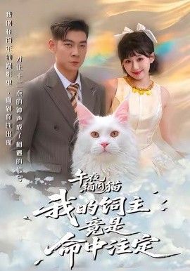 午夜缅因猫我的饲主竟是命中注定封面图