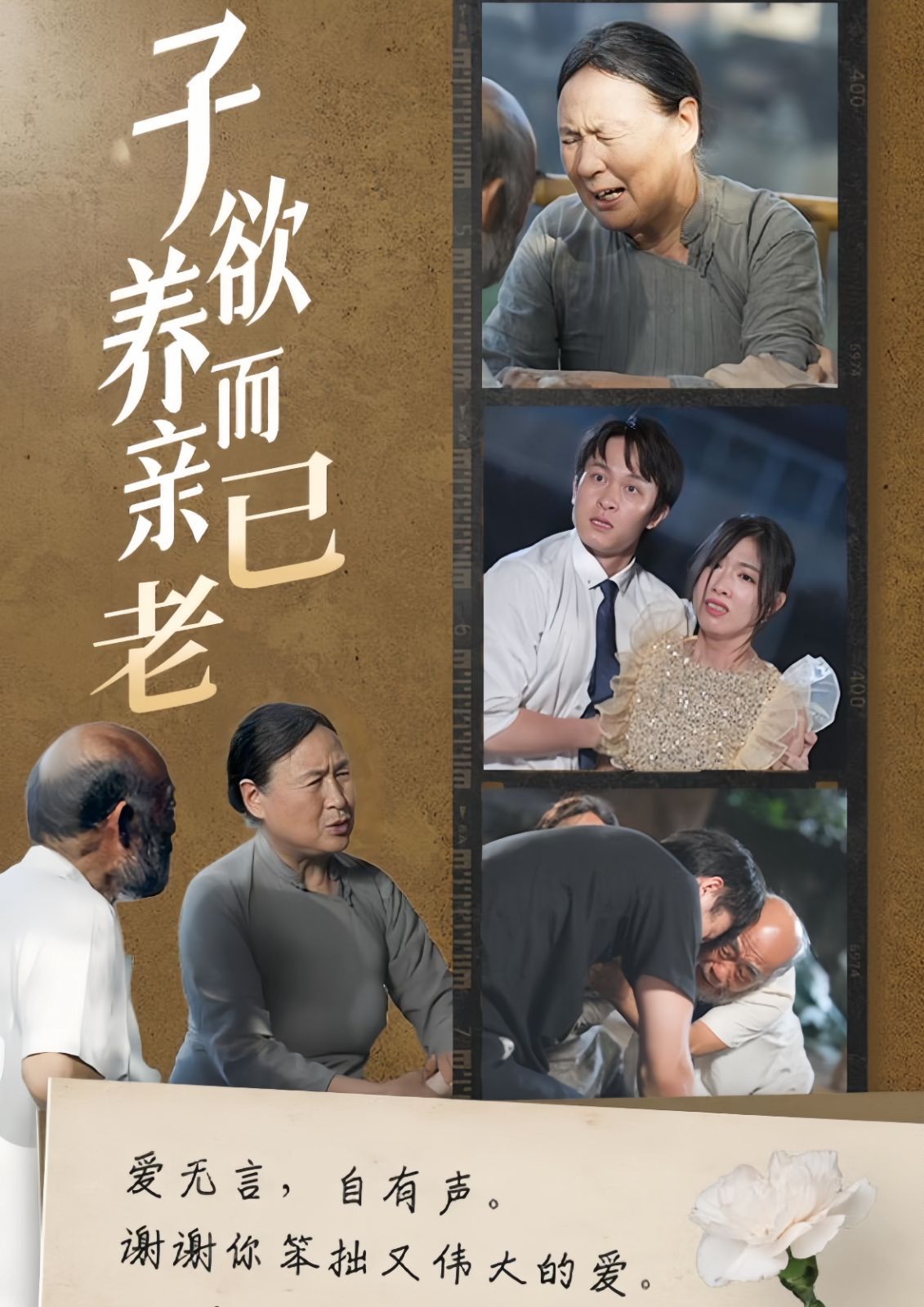 子欲养而亲已老海报图