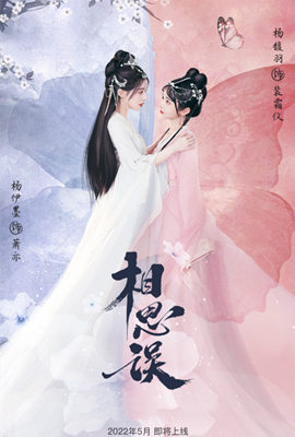 相思误海报图