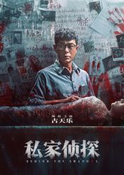私家侦探 粤语封面图