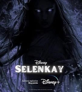 Selenkay海报图