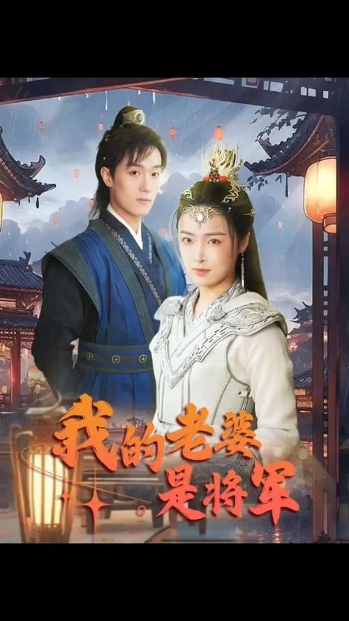 我的老婆是将军海报图