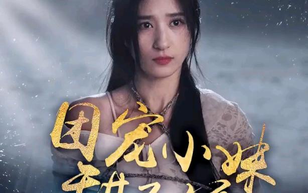 团宠小妹甜又娇海报图