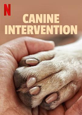 犬类干预封面图
