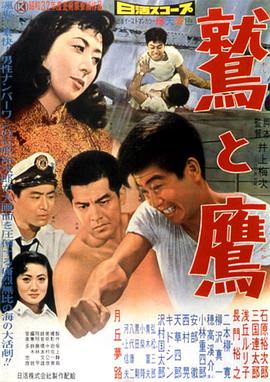 鹫与鹰封面图