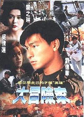 大冒险家1995封面图