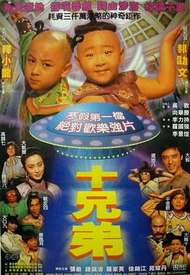 十兄弟1995封面图