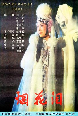 烟花泪海报图