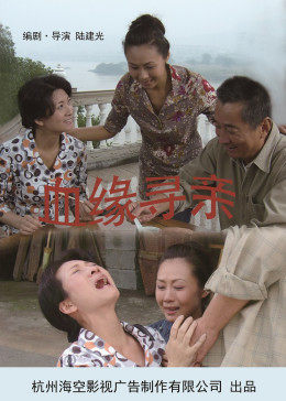 血缘寻亲海报图