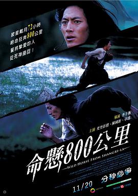 命悬800公里封面图