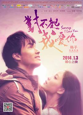 对不起，我爱你2014封面图