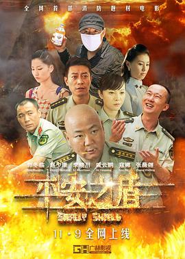 平安之盾封面图