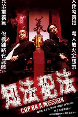 知法犯法2001封面图