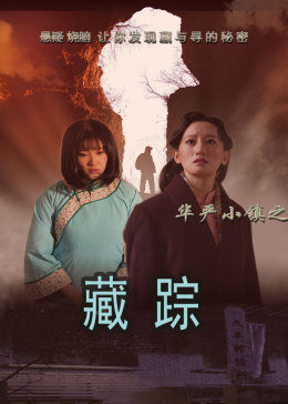 华严小镇2之藏踪封面图