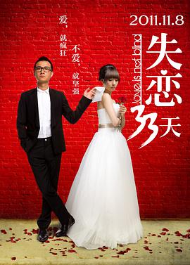 失恋33天2011封面图