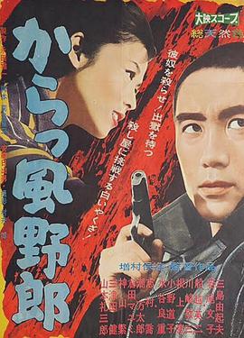 风野郎封面图