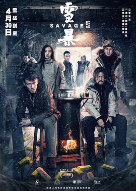 雪暴封面图
