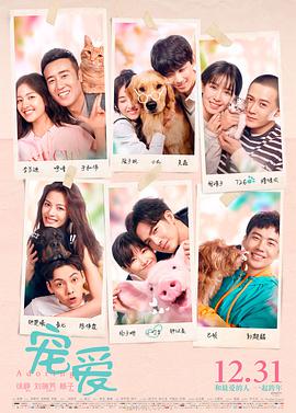 宠爱2019封面图