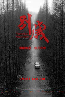 别岁海报图