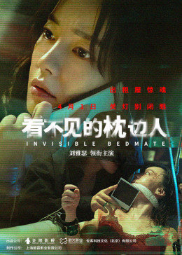看不见的枕边人封面图