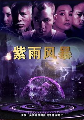 紫雨风暴封面图