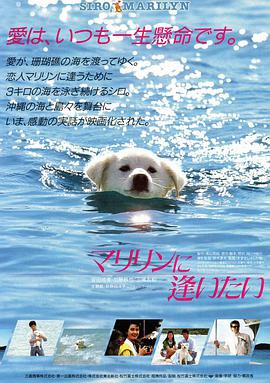 想见玛丽琳封面图