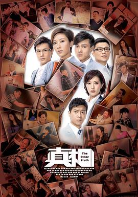 真相2011国语封面图