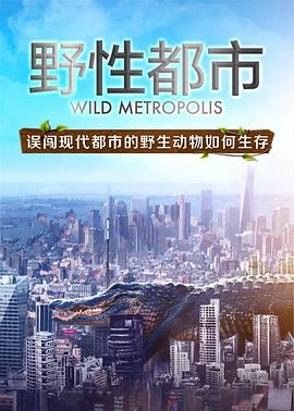 野性都市封面图