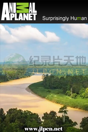 东方亚马逊封面图