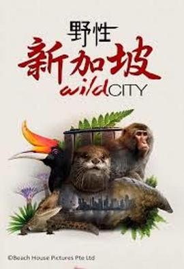 野性新加坡封面图