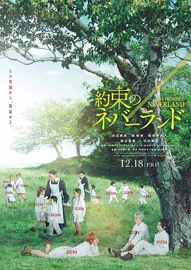 约定的梦幻岛真人版封面图