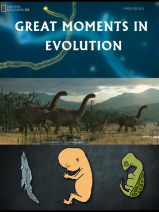 进化的伟大时刻封面图