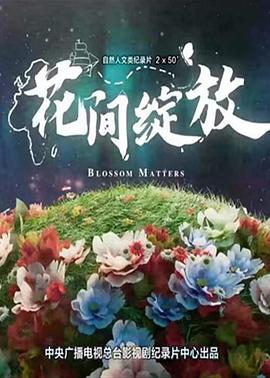 花间绽放海报图