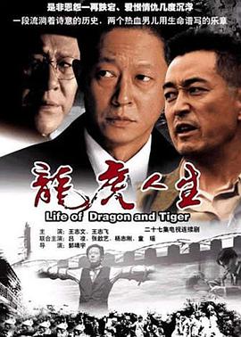 龙虎人生王志文版封面图