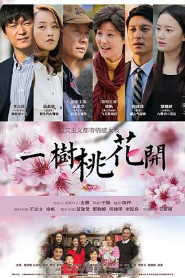 一树桃花开王志文版封面图