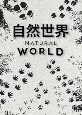 自然世界第一季海报图