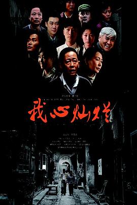我心灿烂王志文版封面图