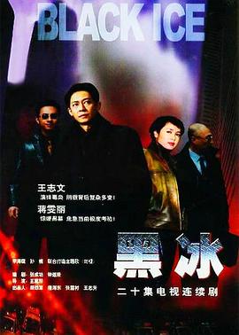 黑冰王志文版封面图