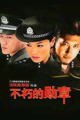 不朽的勋章海报图