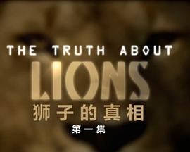 地平线系列：狮子的真相封面图