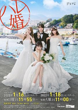 后宫婚海报图