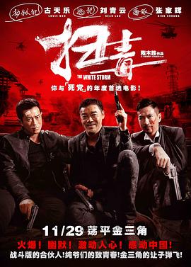 扫毒粤语封面图