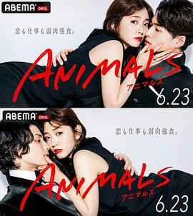 ANIMALS归国篇封面图