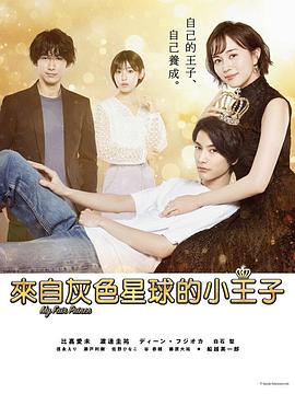 我推的王子封面图