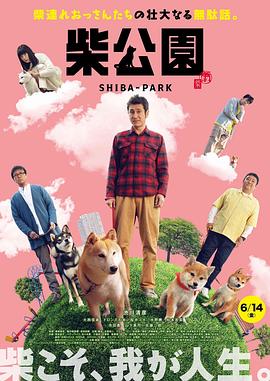 柴犬公园海报图